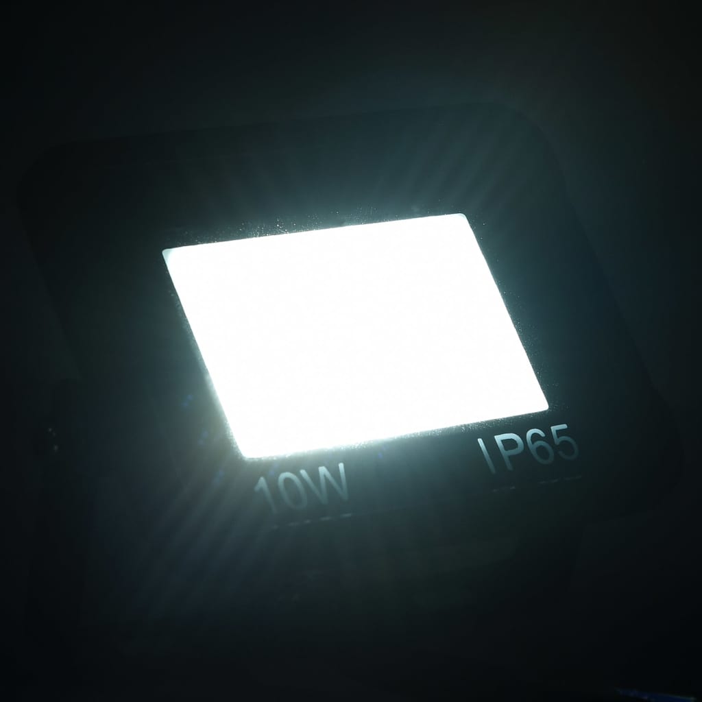 vidaXL LED prožektor, 10 W, külm valge